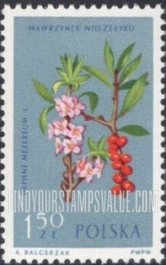 FindYourStampsValue: Flowers: Daphne mezereum