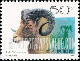 Horned Animals: Ovis ammon - 野羊: 盘羊