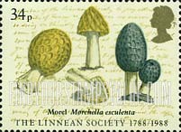 FindYourStampsValue: Great Britain (United Kingdom): The Linnean Society of London, 200th Anniversary - Morel