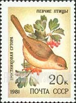 Russia: USSR, Song Birds - Sutora Webbiana