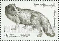 Russia: USSR, Furry Animals - Polar Fox