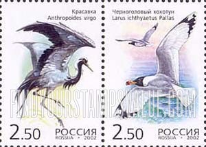 Russia: Russian Federation - Birds