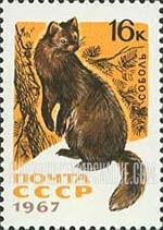 Russia: USSR, Fur-bearing Animals - Sable