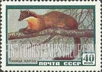 Russia: USSR, Animals - Pine Marten