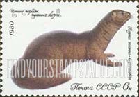 Russia: USSR, Furry Animals - Mink