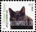 ANIMAL RESCUE - Maltese Cat, Self-Adhesive stamp