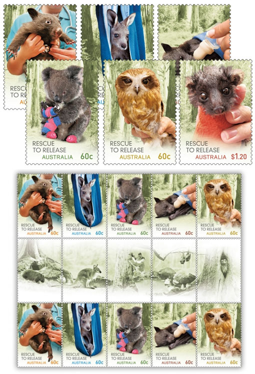 Wildlife Caring: Rescue to Release