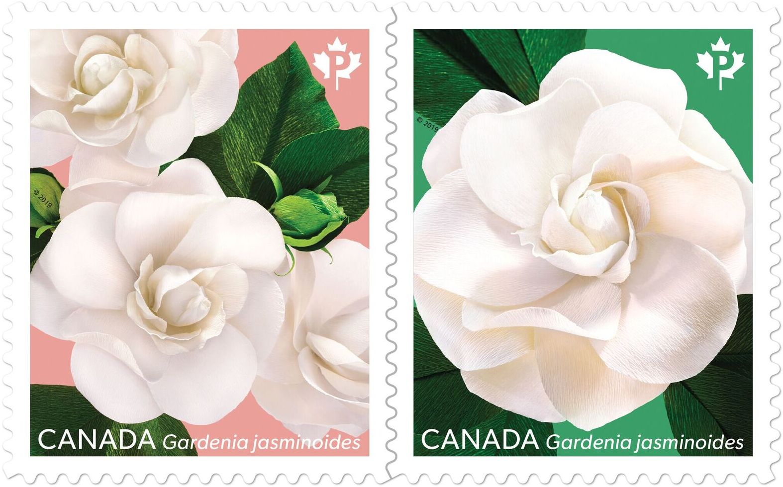 Blooming Gardenias – Canada Post celebrates Valentine's Day with 2 stamps