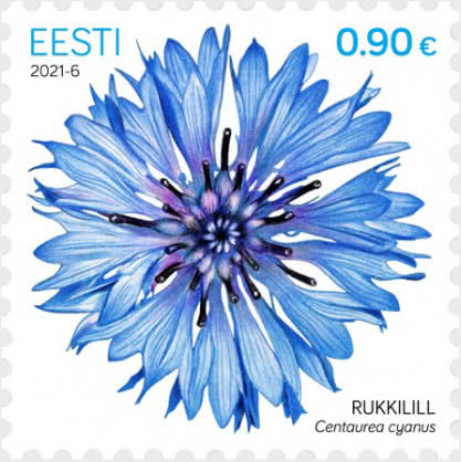 Cornflower – new bright Estonian stamp released!