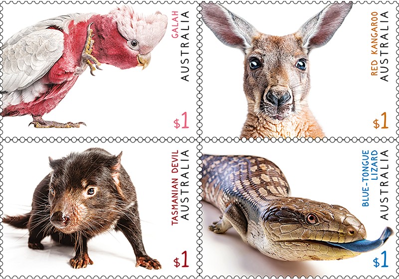 Australian Fauna – four cute stamps released!