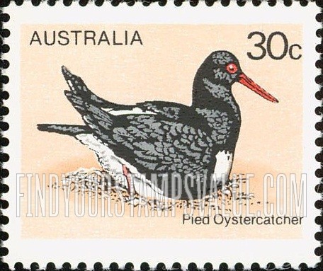 FindYourStampsValue: Australian birds: Pied oystercatcher