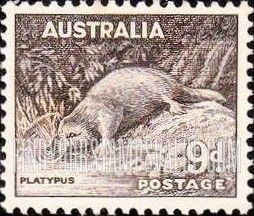 FindYourStampsValue: Platypus: Types of 1938-55