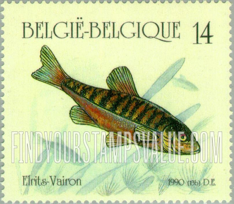 FindYourStampsValue: Fish: Minnow (Vairon)