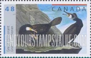 Bird Paintings by John James Audubon: Great cormorant