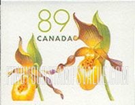 Flowers: Yellow lady’s slipper