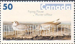FindYourStampsValue: Bird Paintings by John James Audubon: Piping plover