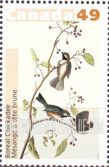 FindYourStampsValue: Bird Paintings by John James Audubon: Boreal chickadee