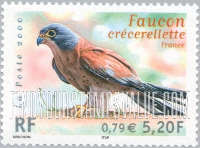Endangered Birds: Falcon