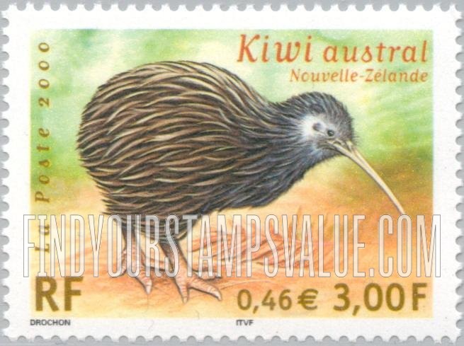 Endangered Birds: Kiwi