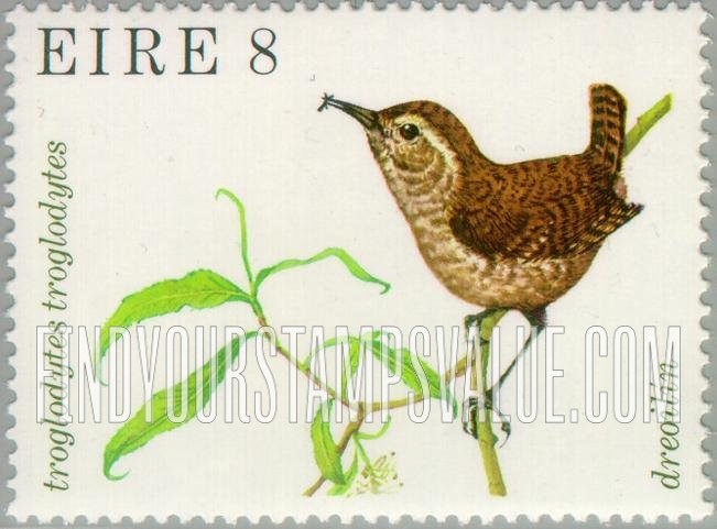 Birds:  Wren
