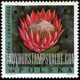 FindYourStampsValue: Exotic Flowers: Protea cynaroides