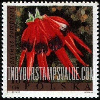 Exotic Flowers: Clianthus dampieri