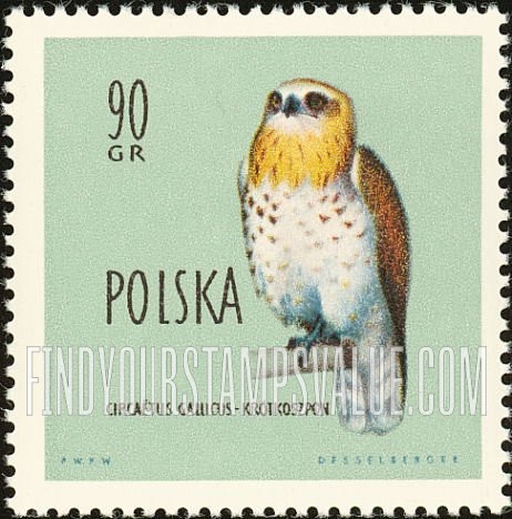 Birds: Short-toed eagle