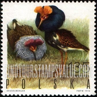 FindYourStampsValue: Game Birds: Ruffs (males)