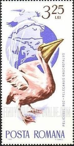 FindYourStampsValue: Birds: White pelican
