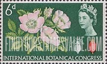 FindYourStampsValue: Great Britain (United Kingdom): 10th International Botanical Congress - Dog Rose
