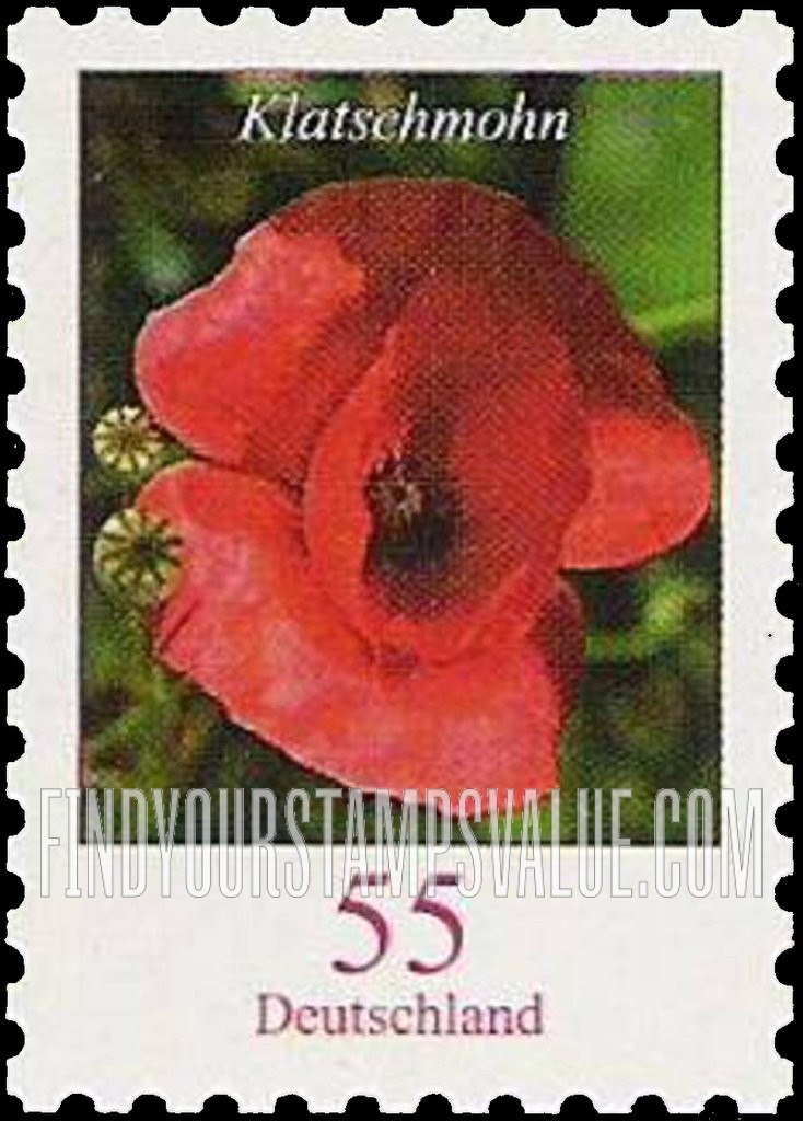 Flowers: Klatschmohn (red poppy)