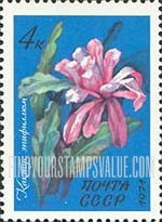 FindYourStampsValue: Russia: USSR, Flowers - Flowering Crab Cactus