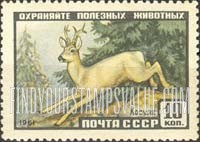 Russia: USSR, Animals - Roe Deer