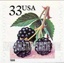 FindYourStampsValue: BERRIES - Blackberries, Self-Adhesive Coil stamp