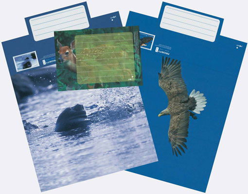 White-tailed deer on a new Finnish postal stationery card