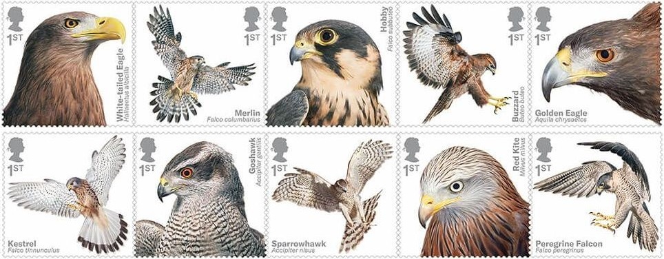 Birds of Prey – a set of 10 stamps introduced by Royal Mail!