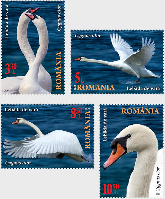 The Danube Delta swans – four beautiful stamps presented by Romfilatelia!