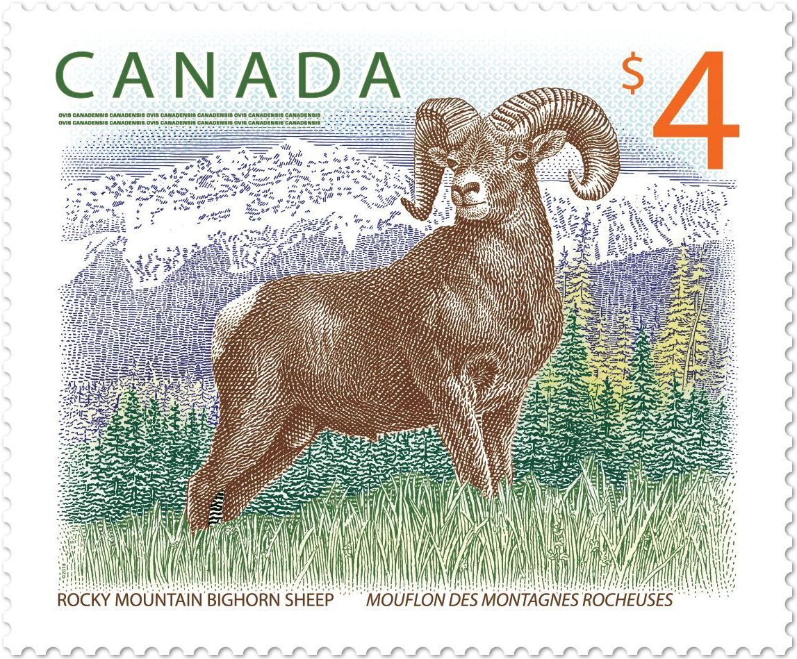 Bighorn sheep stamp issued by Canada Post