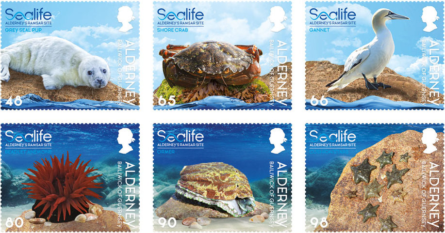 Alderney's sealife shown on six new stamps!