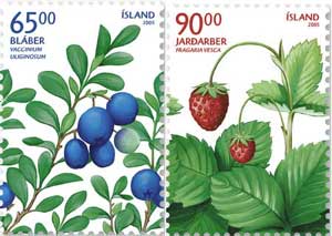 Iceland: Wild berries