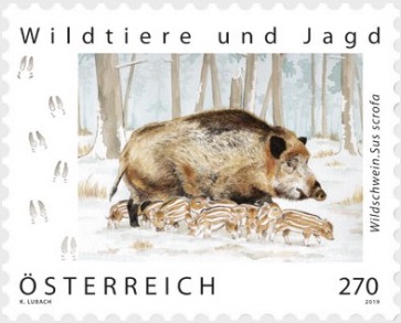Wild boar – a special stamp introduced by Austria Post