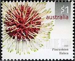 Flowers: Pincushion hakea