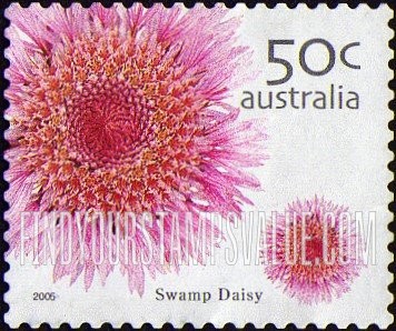 Wild Flowers: Swamp daisy