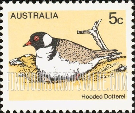 Australian birds: Hooded Dotterel