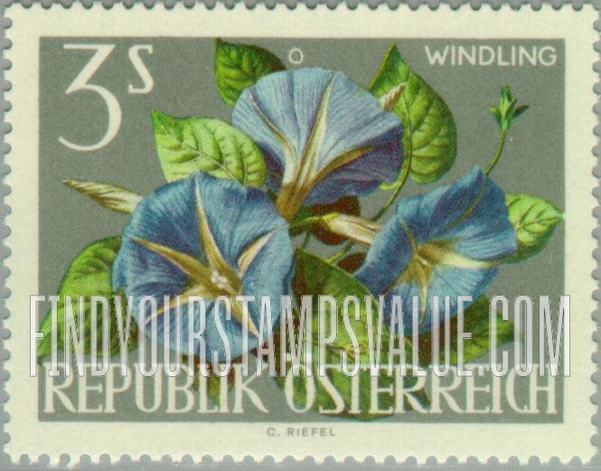 FindYourStampsValue: Flowers: Morning glory