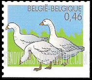 FindYourStampsValue: Farm Animals: Three geese