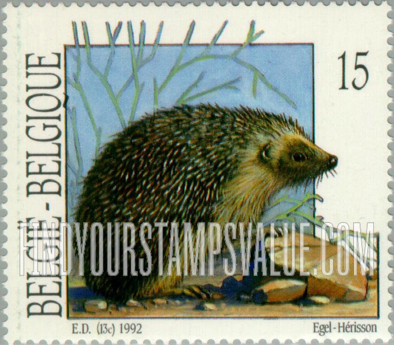 Animals: Hedgehog