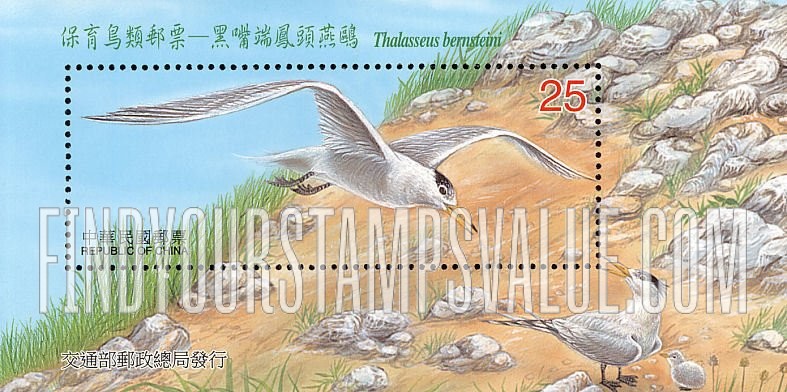 Endangered Bird Thalasseus Bernsteini: Bird in flight - 黑嘴端凤头燕鸥: 鸟在飞行中