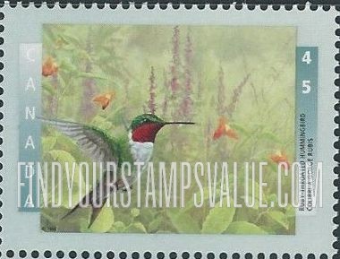 Birds: Ruby-throated hummingbird