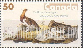 Bird Paintings by John James Audubon: Willow ptarmigan